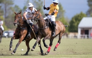 VCP_high goal polo