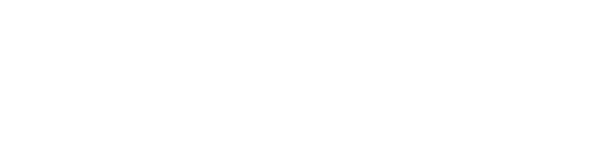 Polo Test Match Logo