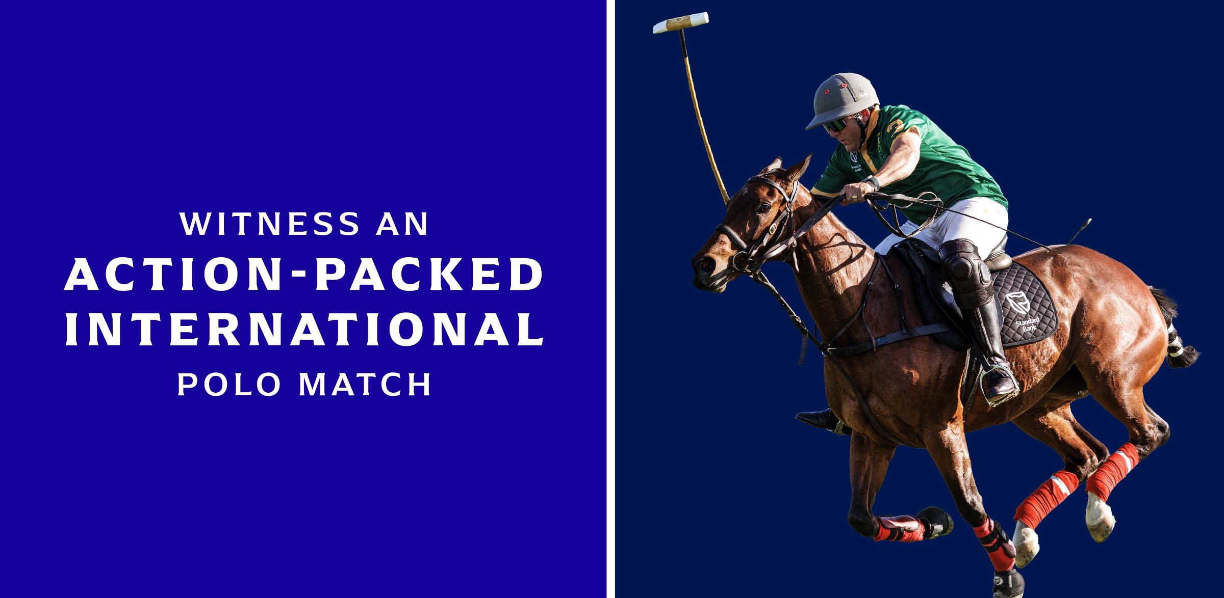 STB_Witness an action-packed international polo match