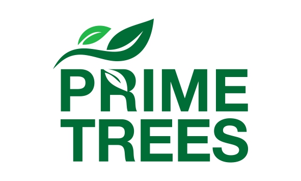 PrimeTrees_Logo2_page-0001